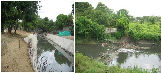 Estado actual del Arroyo Grande de Corozal Estado actual del Arroyo Grande de Corozal